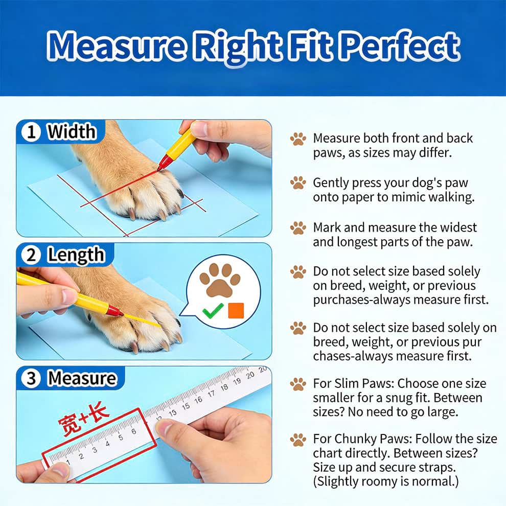 Step-by-step guide on how to measure dog paw width and length to ensure the perfect fit for boots.