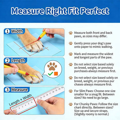 Step-by-step guide on how to measure dog paw width and length to ensure the perfect fit for boots.