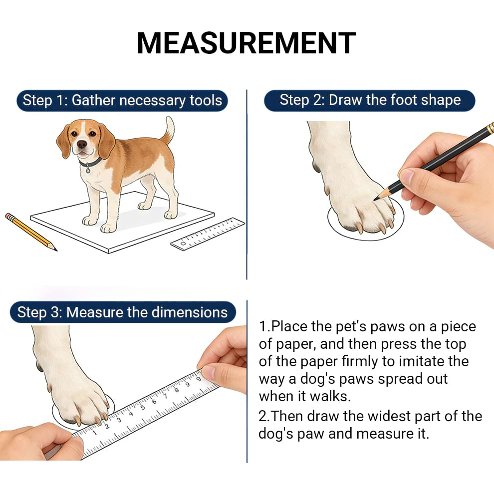 Step-by-step guide on how to measure your pet's paws to choose the correct size of paw protectors for dogs.
