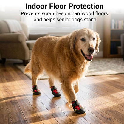 Golden Retriever wearing anti-slip dog boots indoors to prevent scratches on hardwood floors and help senior dogs stand securely.