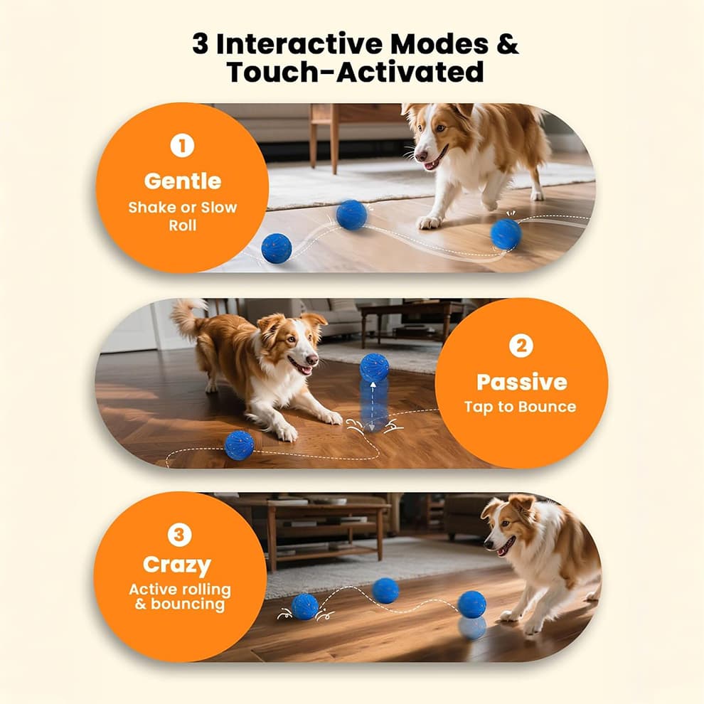 Dog enjoying interactive dog ball with 3 motion play modes
