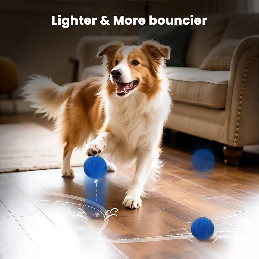 Dog chasing bouncy interactive dog ball indoors