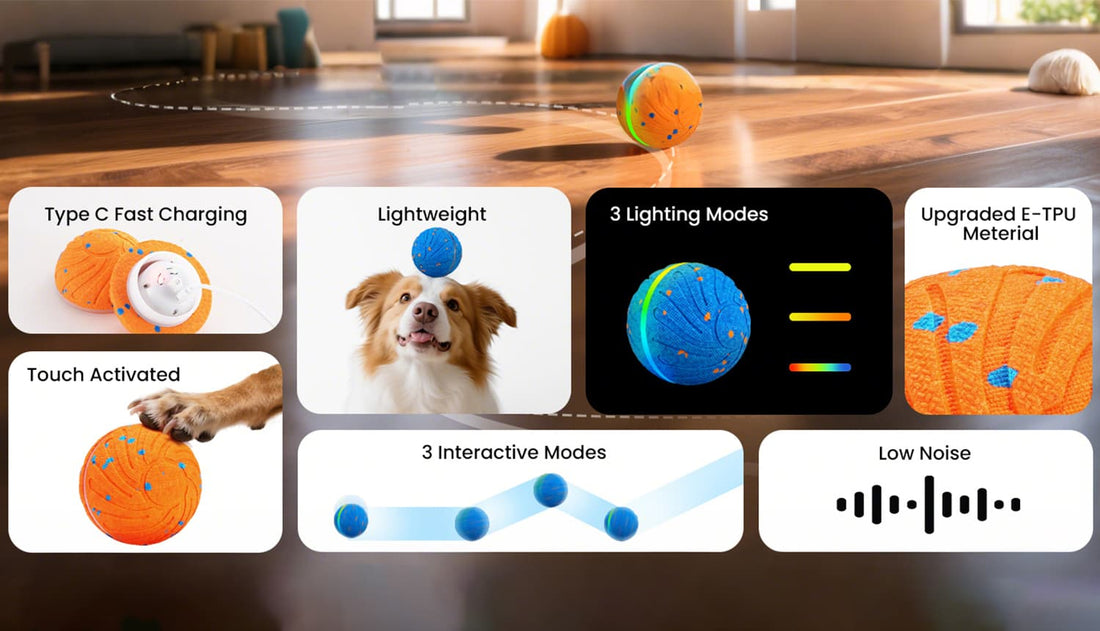 Interactive dog balls showing fast charging, lighting modes, touch activation, and safe E-TPU material