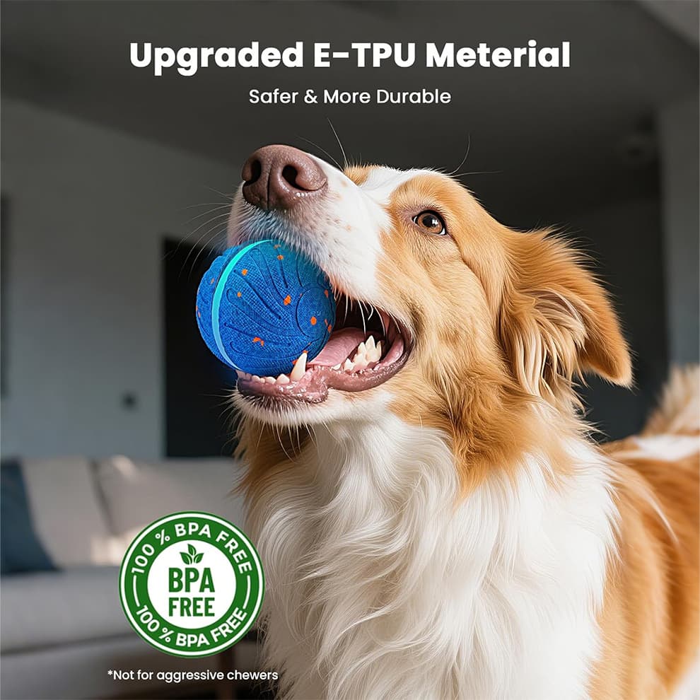 Dog playing with interactive dog ball made of safe E-TPU material