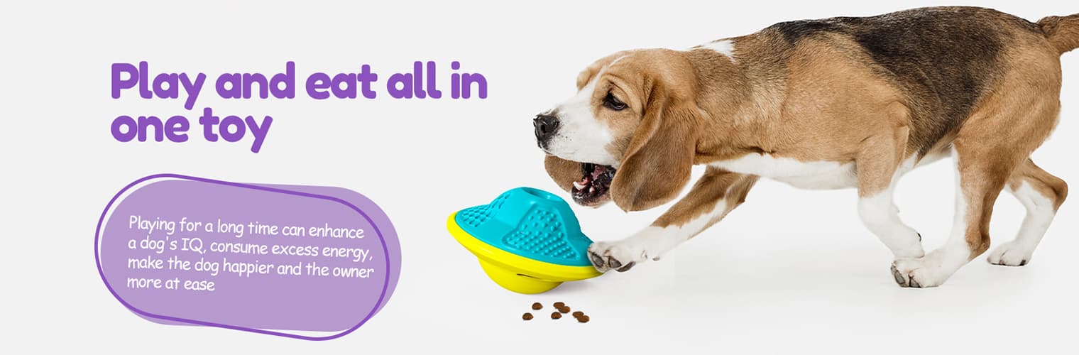 Dog actively engaged after playing with interactive dog puzzle toys UFO feeder