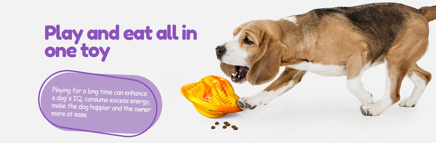 Dog before playing with interactive dog puzzle toys showing calm behavior