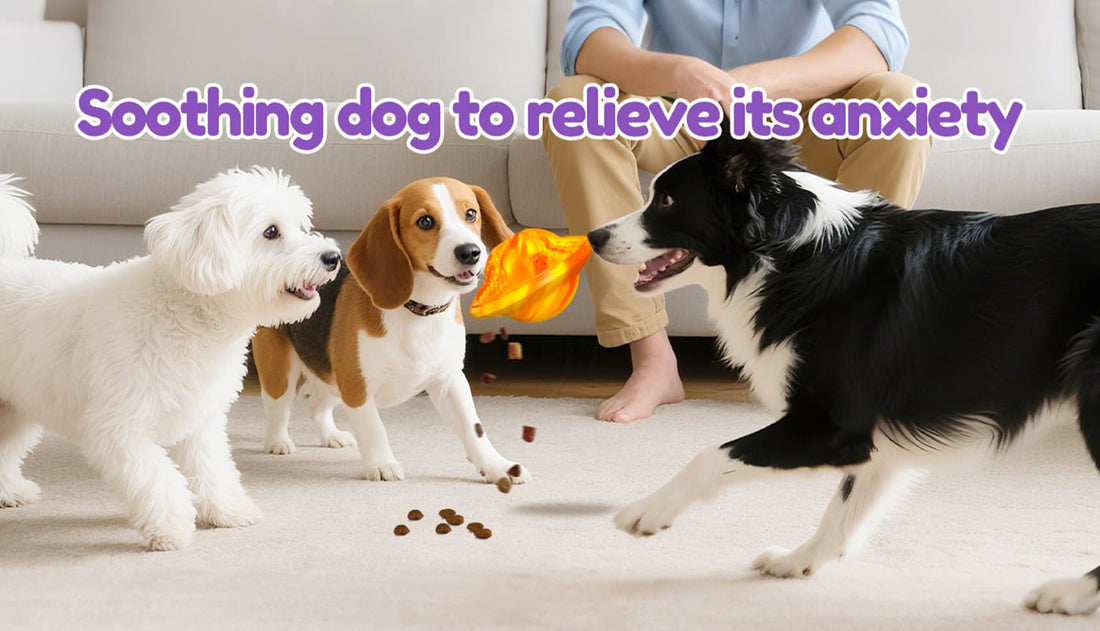 Interactive dog puzzle toys UFO design shown with details and treat function