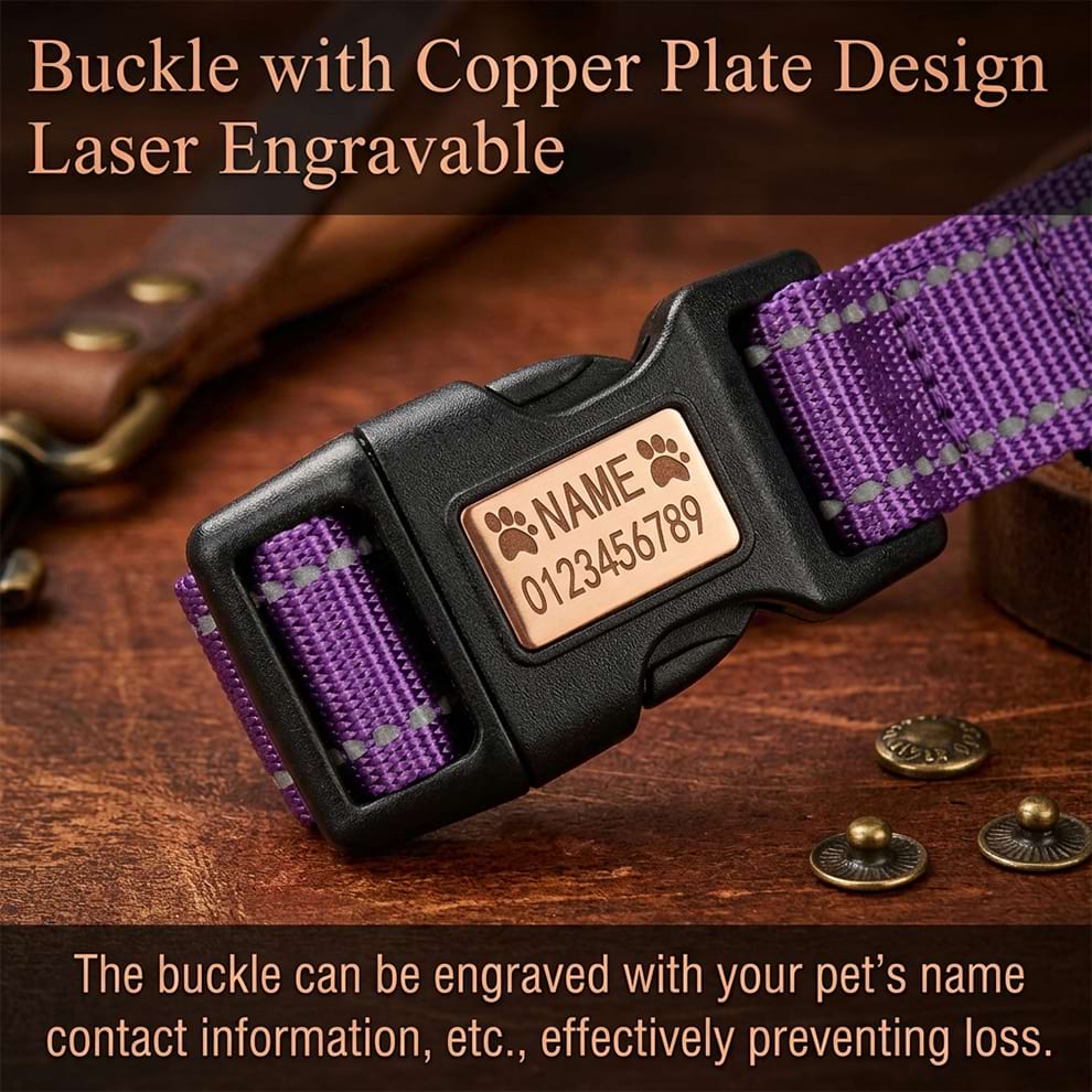 Laser-engravable brass buckle on a nylon dog collar, allowing you to customize your pet's name and phone number to prevent loss.
