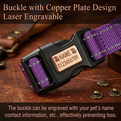 Laser-engravable brass buckle on a nylon dog collar, allowing you to customize your pet's name and phone number to prevent loss.