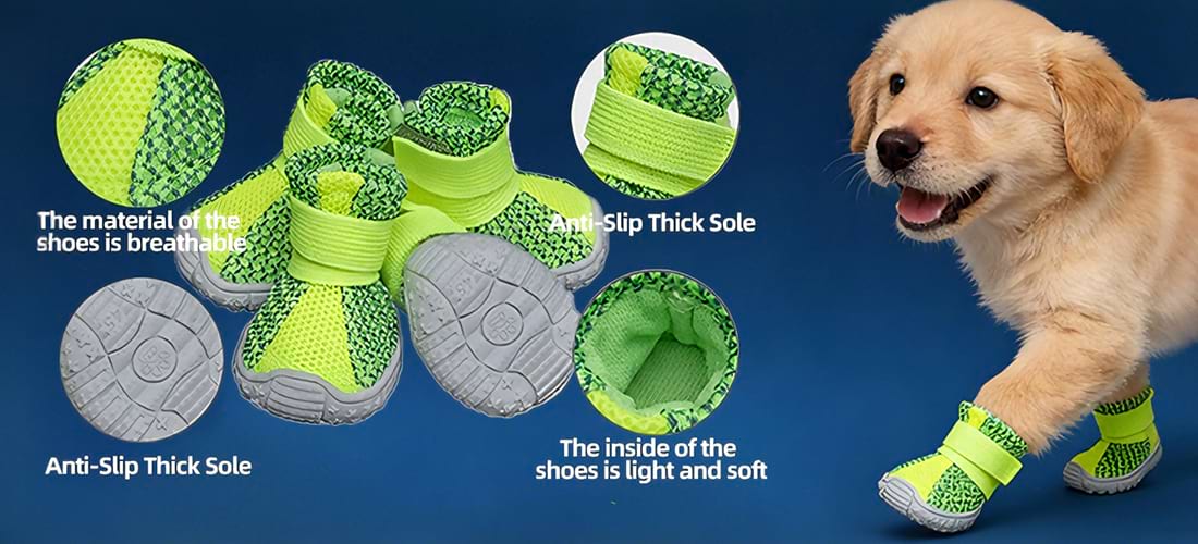 Golden Retriever puppy walking comfortably in Lightweight Dog Shoes, highlighting the Soft Dog Shoes interior and anti-slip sole grip.