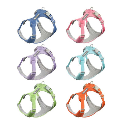 Macaron color dog harness options available in blue, pink, purple, light blue, green, and orange to perfectly match your pet's style.