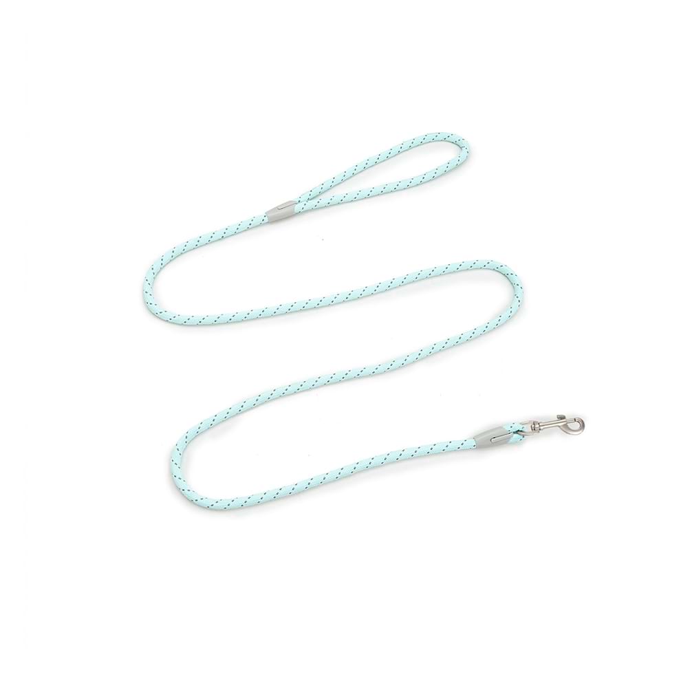 Matching reflective rope dog leash included in the set, designed with self-developed webbing for secure and stylish outdoor activities.