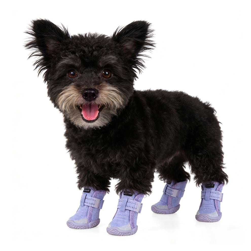 Small dog walking on a sunny sidewalk wearing breathable mesh dog boots, serving as effective dog paw protectors against hot pavement during summer walks.