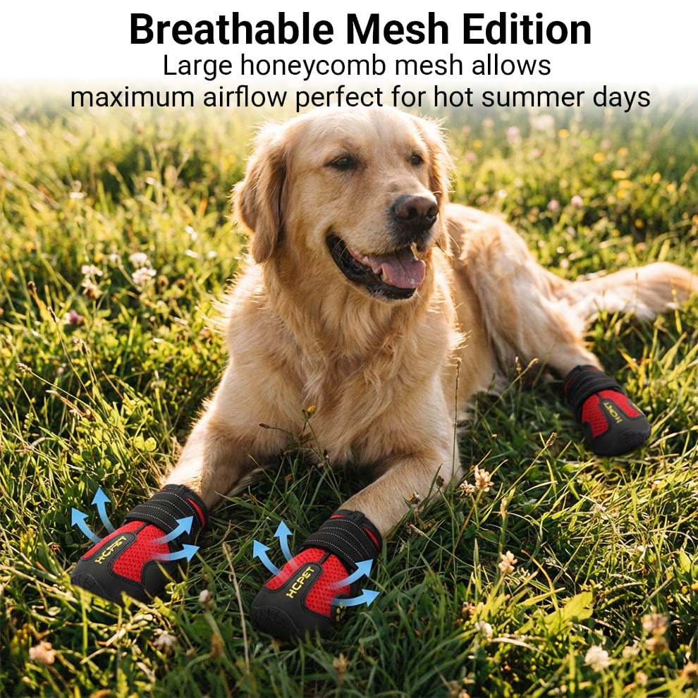 Dog lying on grass wearing mesh dog boots with large honeycomb design for maximum airflow on hot summer days.
