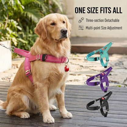 Multi-point size adjustment dog harness worn by a Golden Retriever, featuring a three-section detachable design for ultimate comfort.