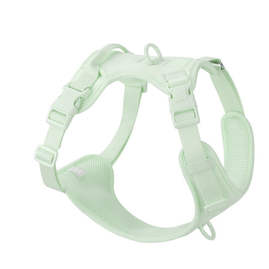 No pull dog harness in light green with durable buckles and breathable mesh for safe and gentle dog walking