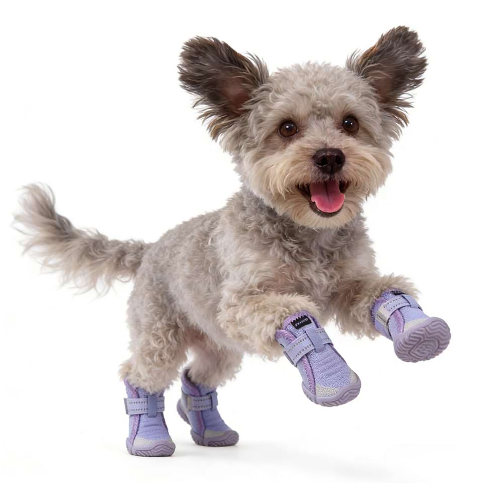 Active puppy running on grass wearing purple non-slip dog booties with soft soles, demonstrating a secure and comfortable fit for small dogs playing outdoors.