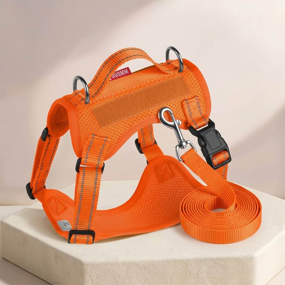 Orange reflective puppy harness and leash set, showcasing the high-visibility webbing and secure quick-release snap buckle.