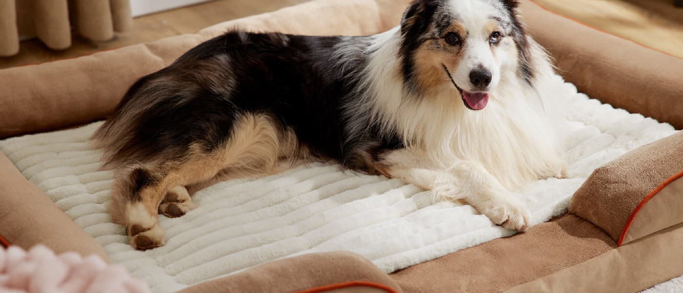 Dog resting on a cream white self heating pad, providing extra cushioning and warmth for joint relief.