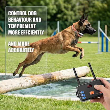 Outdoor dog behavior guidance system helping to control dog behaviour and temperament more efficiently and accurately, showing a Malinois jumping over a log.