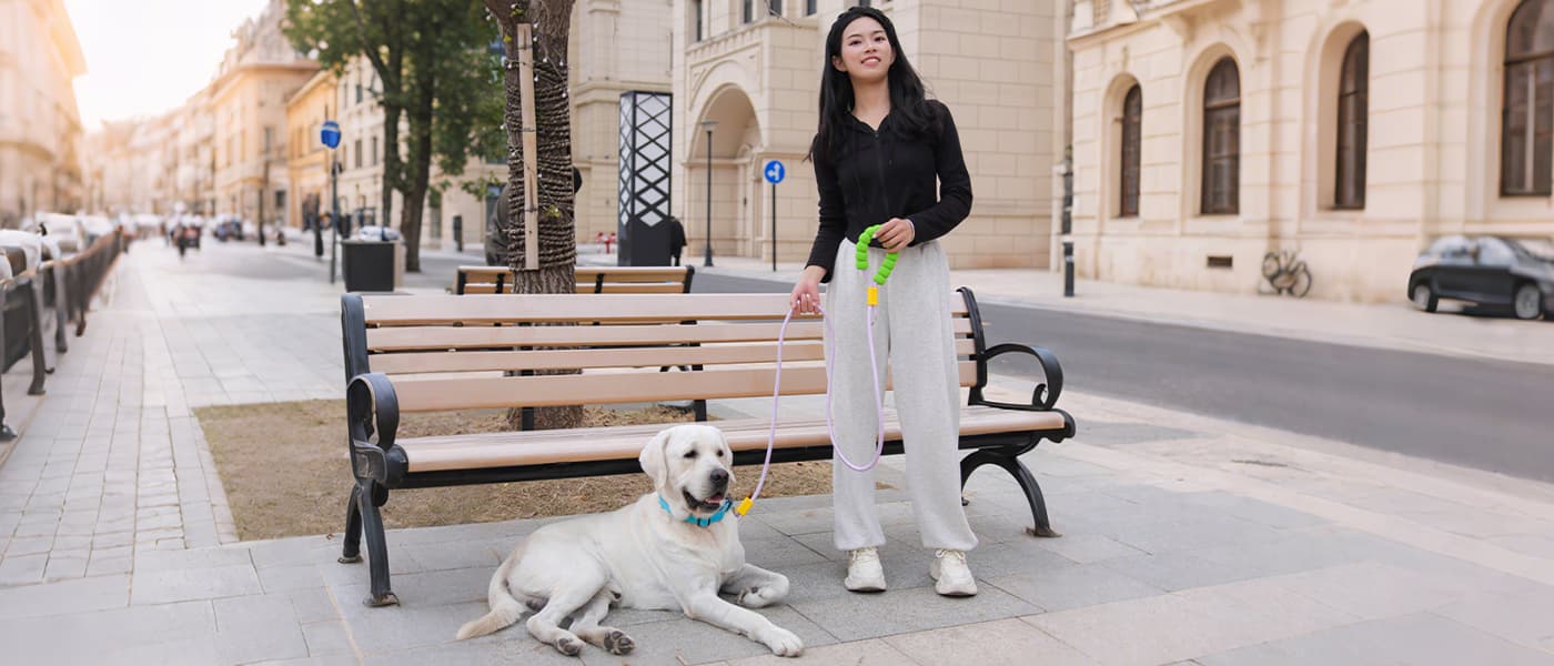 Outdoor dog leash for relaxed city walking with strong rope design