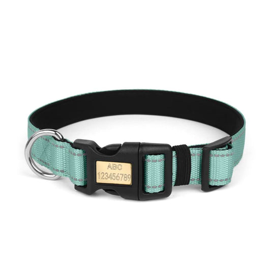 Padded dog collar in stylish light green, featuring a soft neoprene underside that provides double-layer comfort and prevents chafing.