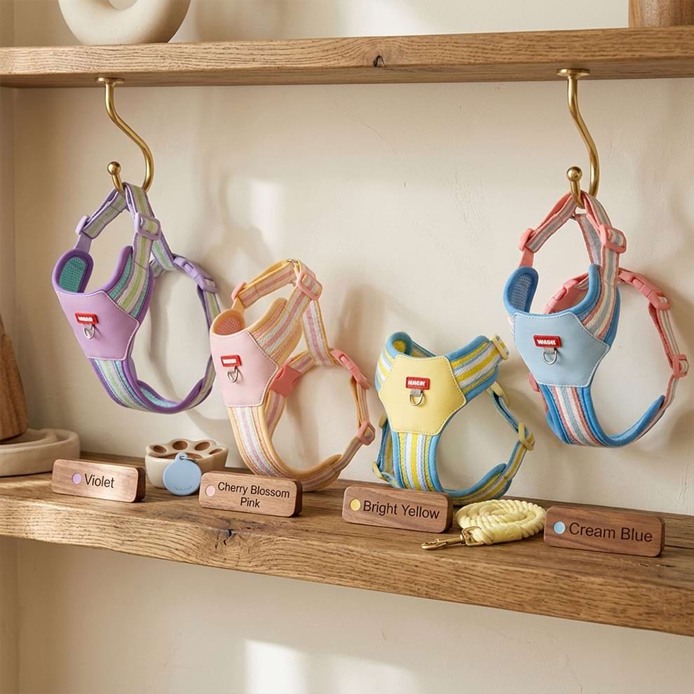 Pastel color-blocking small dog harnesses hanging on a rack, showcasing the popular contrast color design and modern styling.