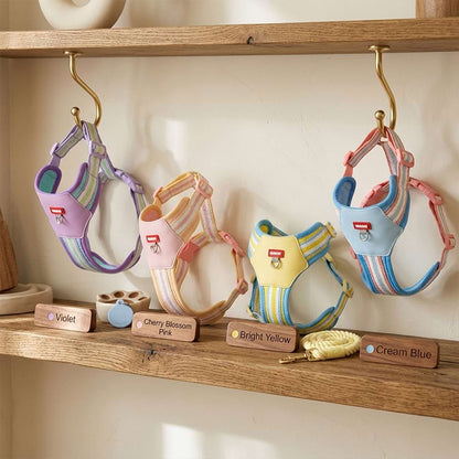 Pastel color-blocking small dog harnesses hanging on a rack, showcasing the popular contrast color design and modern styling.