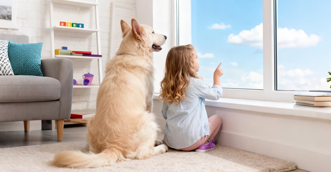 Press - A girl feeding her golden dog surrounded by snacks, highlighting Sovelivee joyful and caring brand moments featured in media.