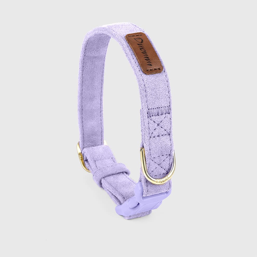 Purple dog collar designed to match harness and leash for small dogs