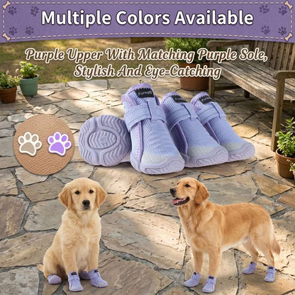 Purple mesh dog boots worn by happy Golden Retrievers, featuring a matching sole for a stylish, eye-catching look during summer adventures.