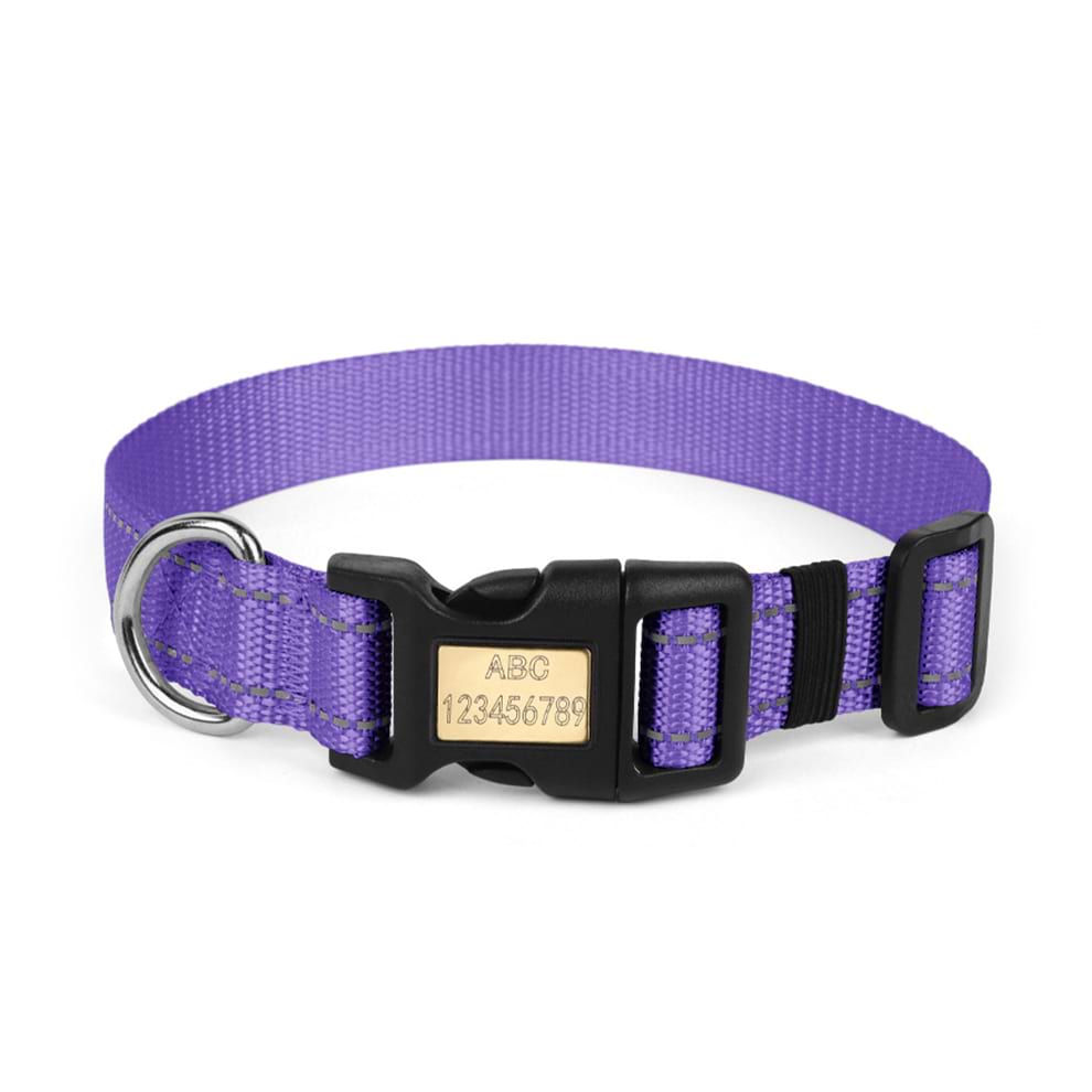 Purple reflective nylon collar equipped with a smooth tri-glide buckle adjustment for a secure and comfortable 360-degree fit.