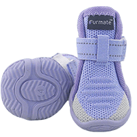 Purple summer dog boots for hot pavement protection.
