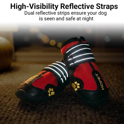 Reflective dog boots glowing in the dark to ensure safety and visibility during night walks.