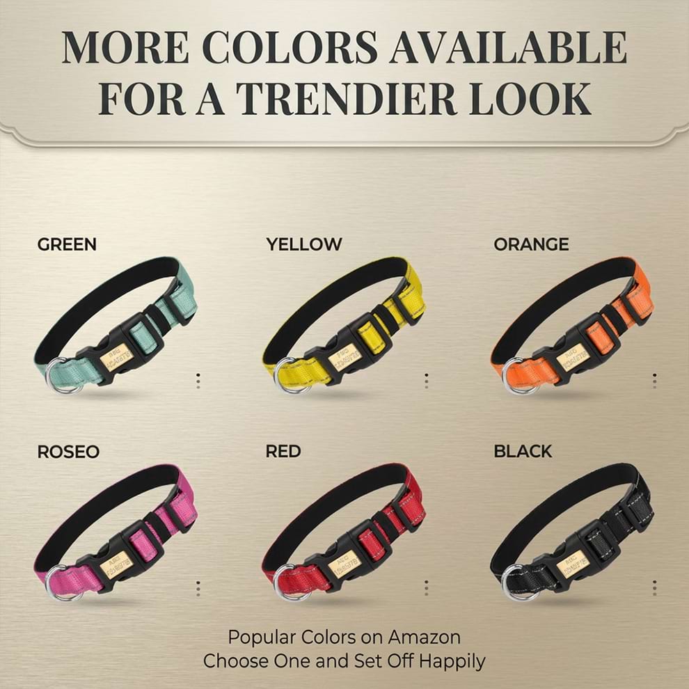 Reflective dog collar color options including green, yellow, orange, roseo, red, and black to match your pet's unique trendy look.