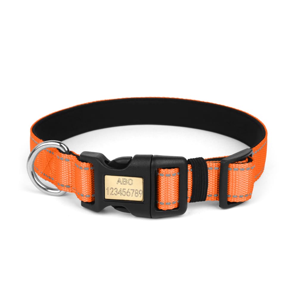 Reflective Dog Collar in vibrant orange, featuring a custom engraved metal buckle for personalized pet identification and safety.