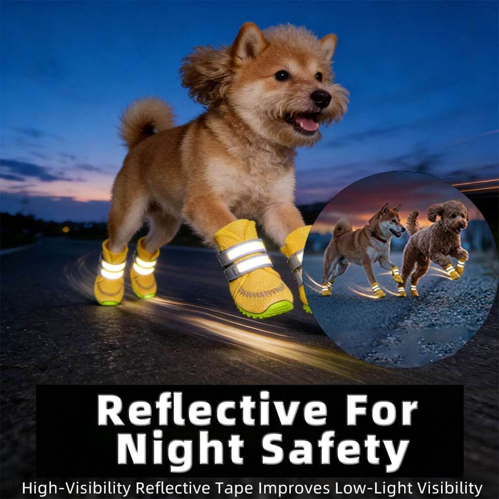 Summer Dog Shoes with reflective straps glowing in low light for safety.