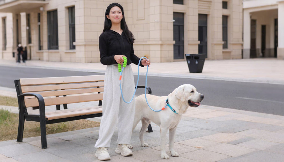 Durable rope dog leash for daily walking and training control with large dog