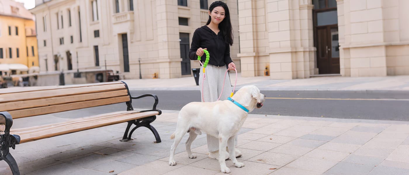 Rope dog leash for large dog walking with comfortable soft foam handle