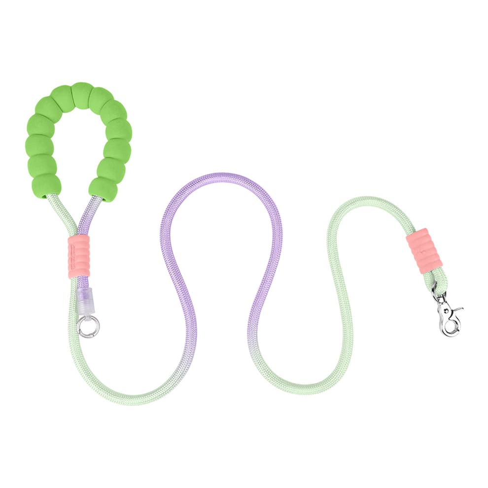 Lightweight rope dog leash in green and lavender for daily walks and training