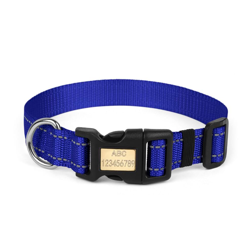 Royal blue custom engraved dog collar featuring thick reflective strips for enhanced nighttime visibility and safety.
