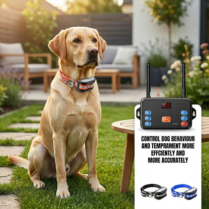 Safe dog temperament control collar worn by a calm Labrador sitting in a garden, designed to control dog behaviour efficiently and accurately.