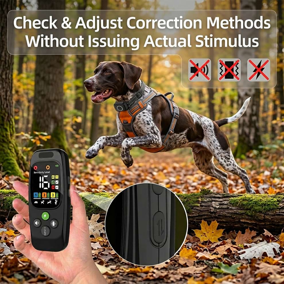 Safe dog training collar allowing owners to check and adjust correction methods without issuing actual stimulus, shown with an active hunting dog.