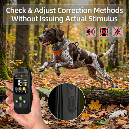 Safe dog training collar allowing owners to check and adjust correction methods without issuing actual stimulus, shown with an active hunting dog.