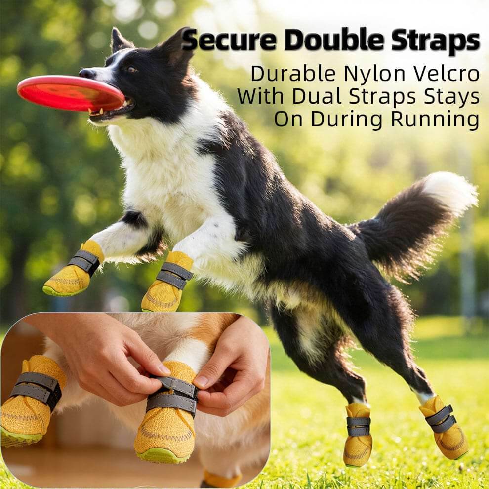 Double velcro straps on Summer Dog Boots ensuring they stay on active dogs.