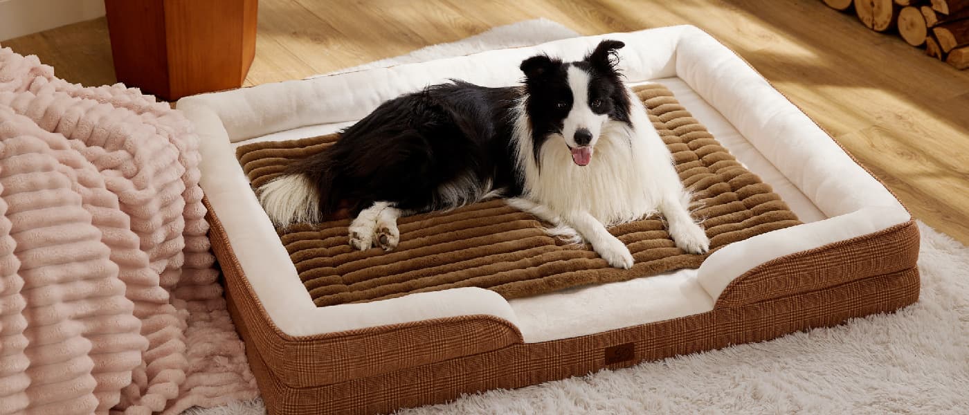 Border Collie lying on a brown self warming pet mat used as a cozy liner inside a larger dog bed.