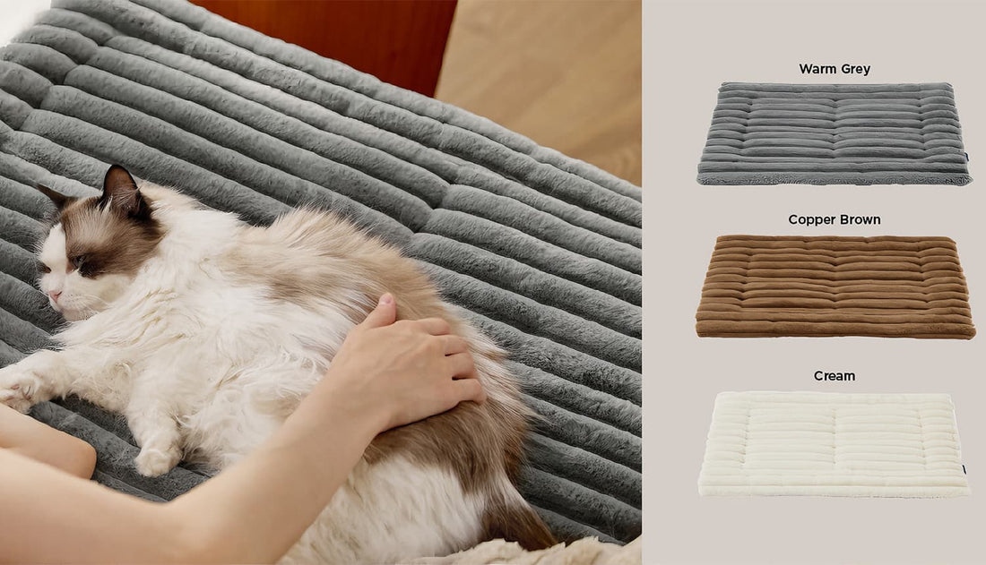 Self Warming Pet Mat available in Warm Grey, Copper Brown, and Cream colors, showing a cat kneading the ultra-soft plush fabric.