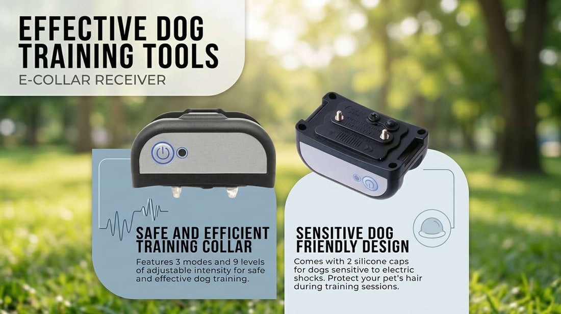Sensitive dog friendly guidance collar receiver with 2 silicone caps to protect your pet's hair, providing safe and efficient behavior management.