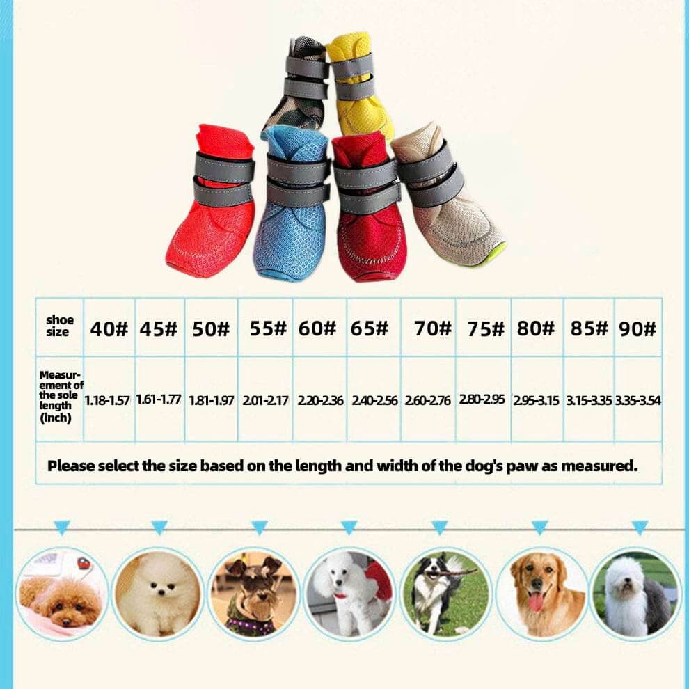 Size chart for Summer Dog Boots sizes 40-90 fitting small to large breeds.