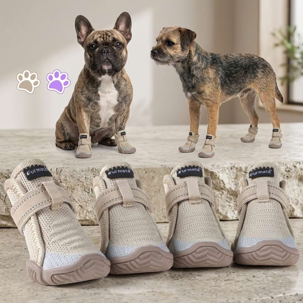 Small dog booties worn comfortably by a French Bulldog and a Terrier indoors, providing excellent grip and paw protection for daily wear.